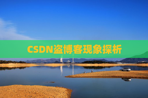 CSDN盗博客现象探析